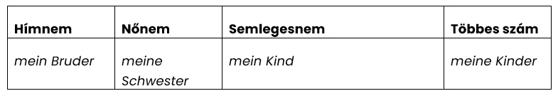 A mein jelzői birtokos névmás alakjai Nominativ esetben