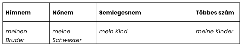 A mein jelzői birtokos névmás alakjai Akkusativ esetben