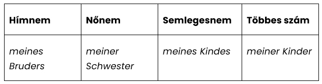 A mein jelzői birtokos névmás alakjai Genitiv esetben